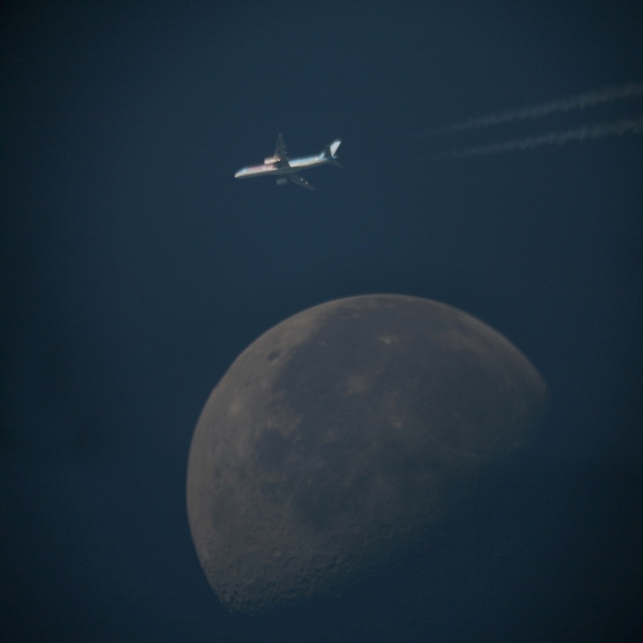 LPOD-Aug25-08.jpg