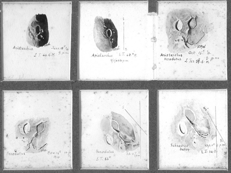 File:Whitehead1 LPOD.jpg