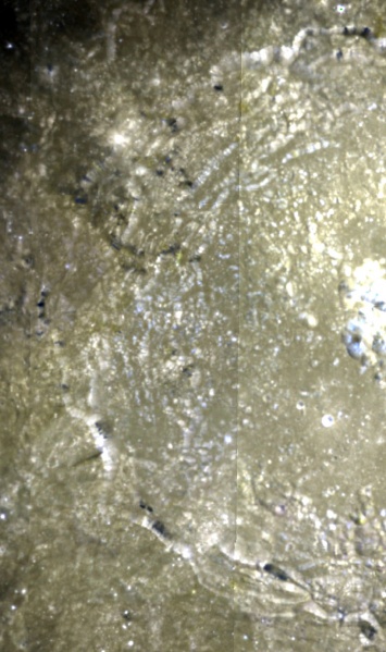File:LPOD-July22b-08.jpg