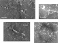 Thumbnail for version as of 22:11, 1 January 2015