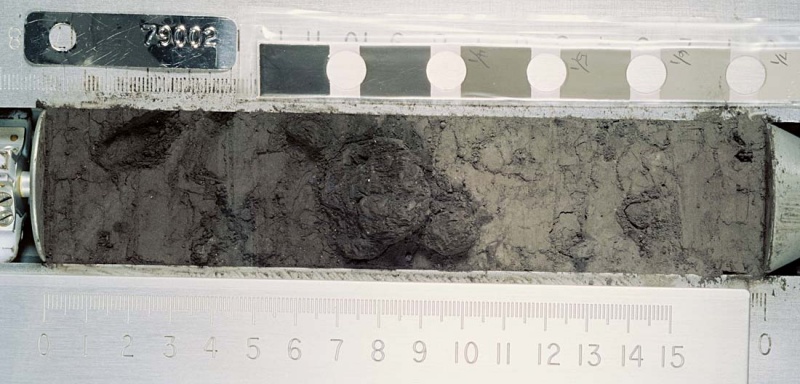 File:LPOD-Dec10-10.jpg