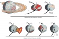 Thumbnail for version as of 23:13, 1 January 2015