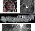 Thumbnail for version as of 12:25, 25 December 2014