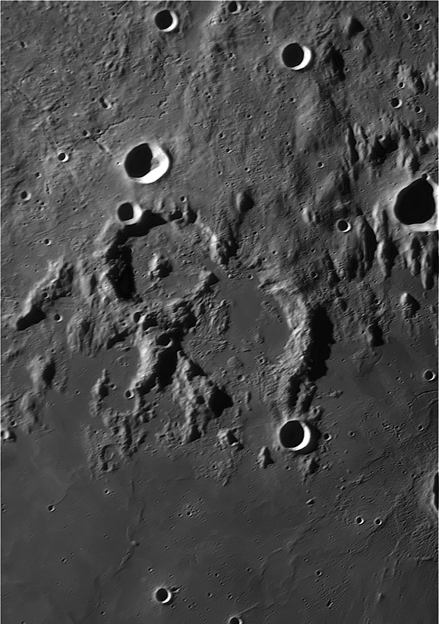 Murchison-Pallas-09-14-06.jpg