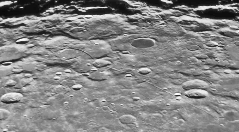 File:Rimasarsalis-Wirths-LPOD.jpg