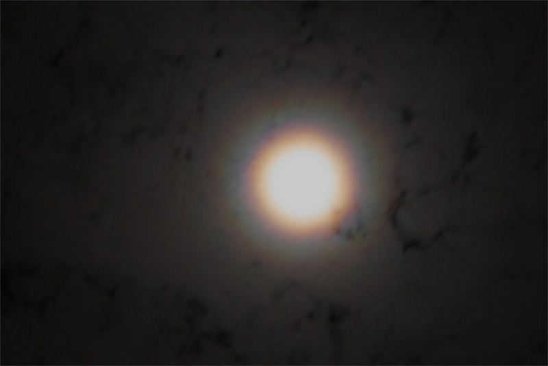 File:Lunar-corona-Mila.jpg