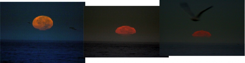 File:SETTINGMOON-lpod.jpg