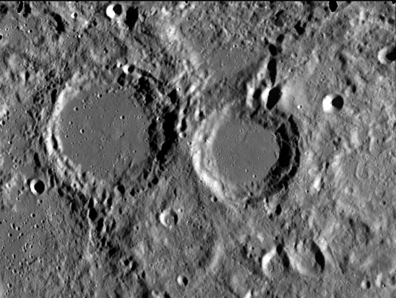 File:Petermann cusanus Clem2.jpg