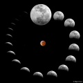 Thumbnail for version as of 12:17, 25 December 2014